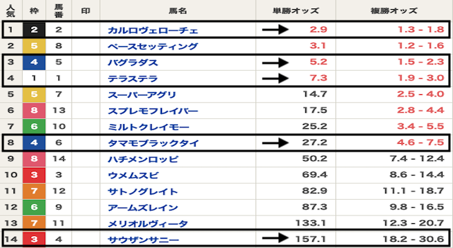 競馬　有料プラン