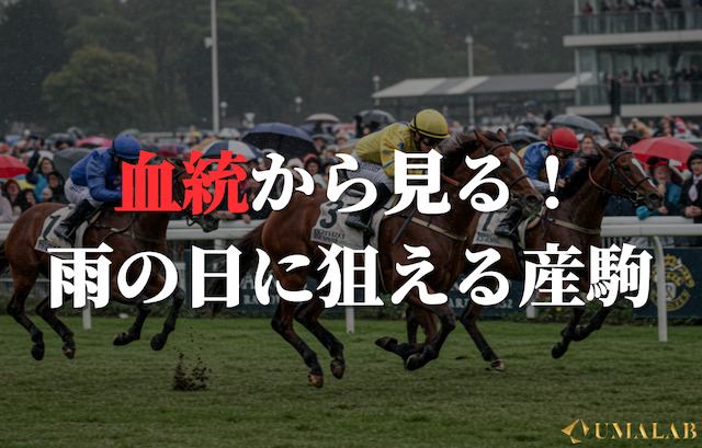 血統から見る「雨の日に狙える産駒」まとめ