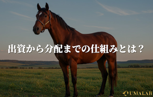 出資から分配までの仕組み