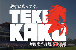 tebiki