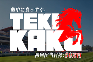tekikaku