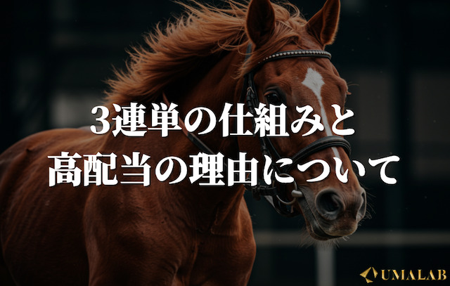 3連単の仕組みと高配当の理由