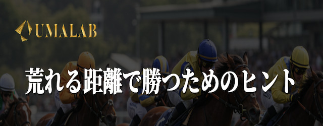 荒れる距離で勝つためのヒント