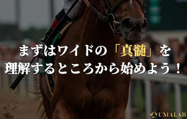 【最強のロジック】まずはワイドの真髄を理解しよう！