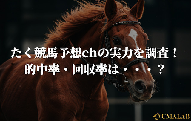 たく競馬予想chの競馬予想の実力を調査！的中率・回収率は・・・？