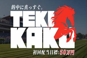 tekikaku