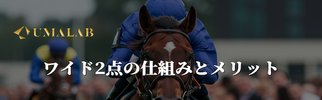 ワイド2点の仕組みとメリット