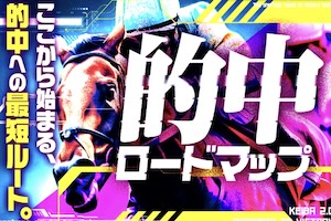 的中ロードマップ
