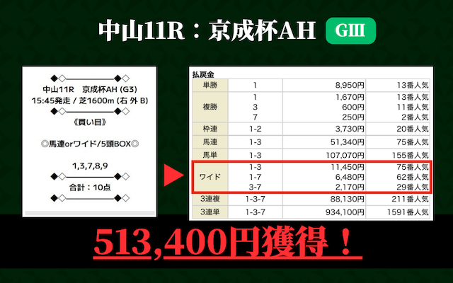 ニジュウマルの実績