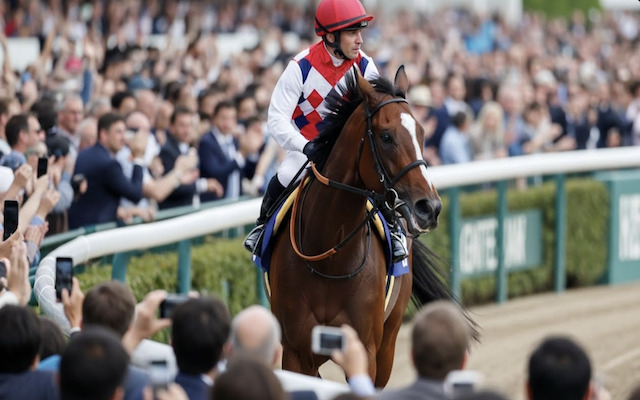 馬の人気のイメージ画像