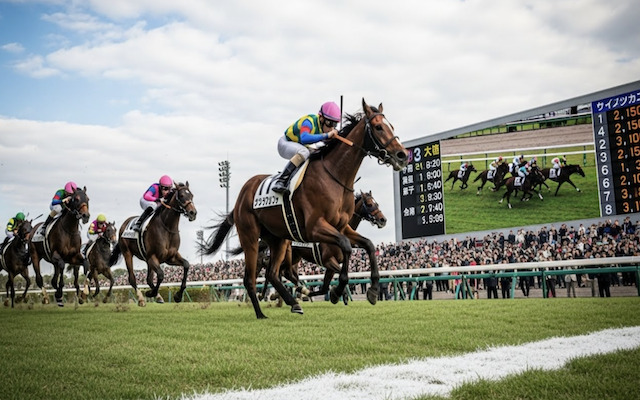 前走の着順のイメージ画像