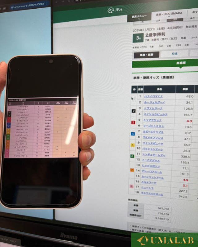 2025年11月22日に買い目と出走表を見比べながら検証する馬ラボ