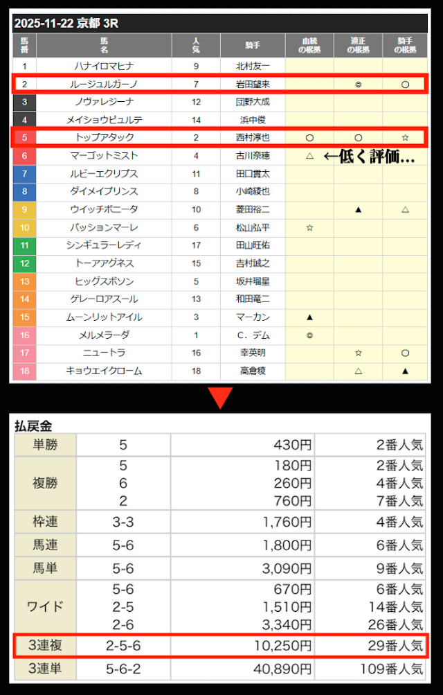 2025年11月22日の結果