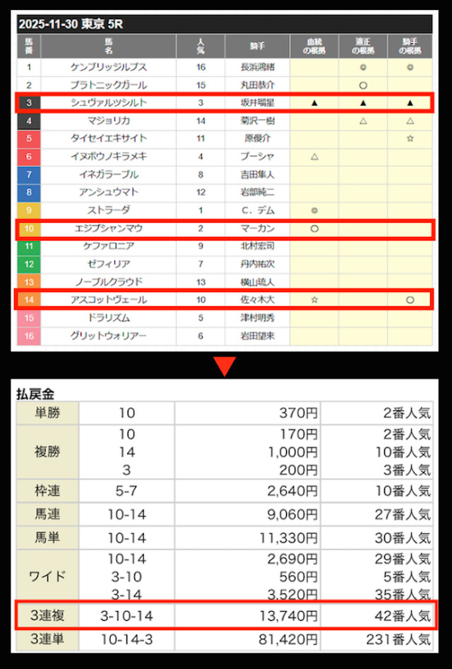 2025年11月30日の結果