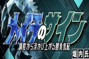 メイチのサイン