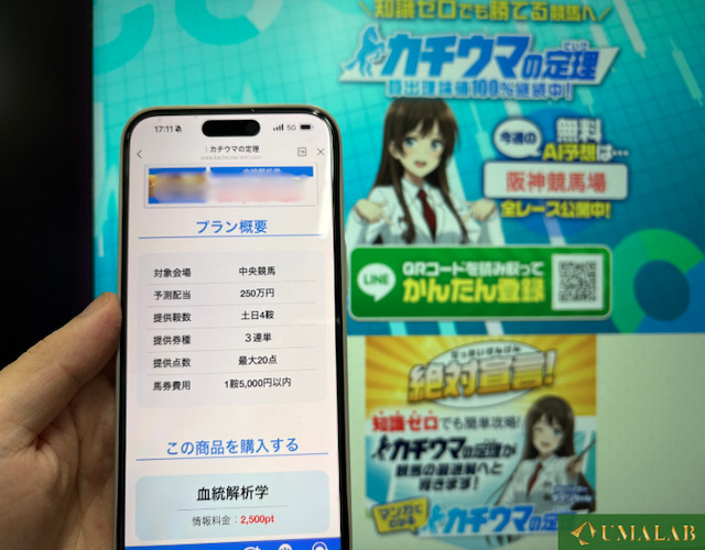 馬ラボの予想サイトの検証風景