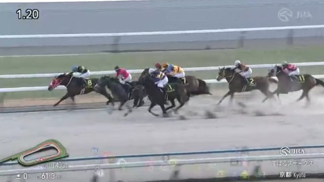 2026年01月10日京都11Rのレース