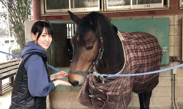 菅井友香と馬