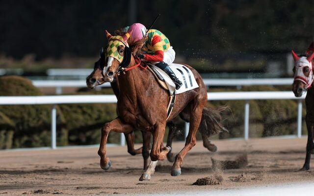 佐賀リベンジャーズ