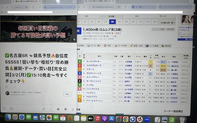馬ラボの検証風景