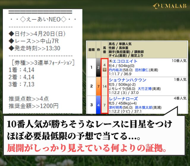 えーあいNEOの有料予想に対する感想