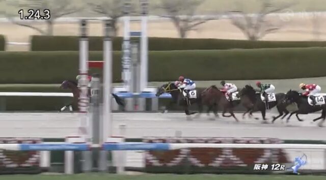 阪神12Rの結果
