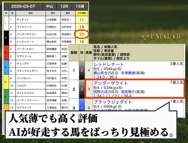 カチケンの無料予想の分析結果