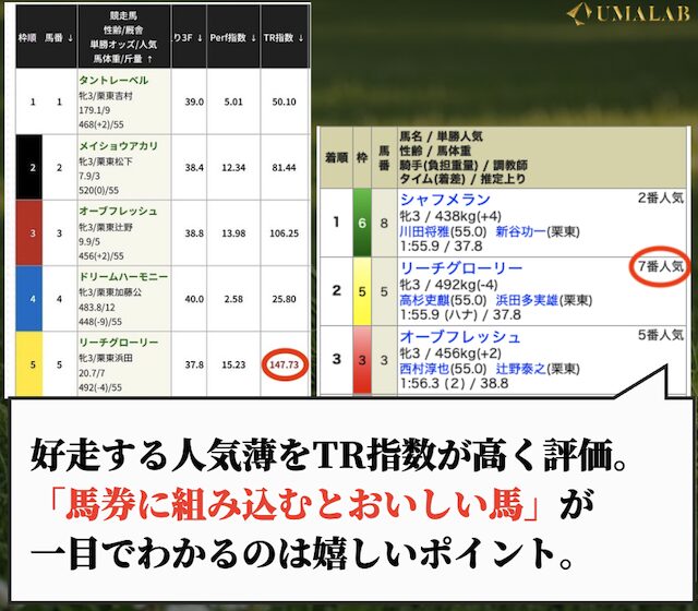 競馬レッドライナーの無料予想で勝負した時の感想