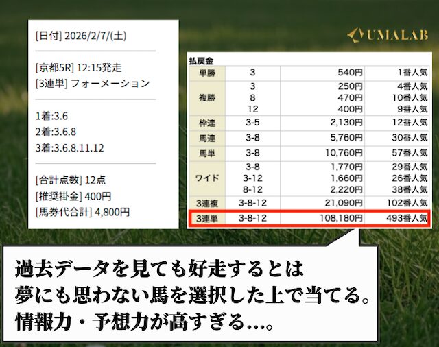 競馬レッドライナーの有料予想で勝負した感想