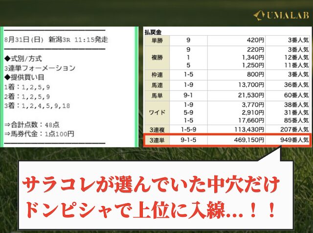 サラコレの有料予想で勝負した感想