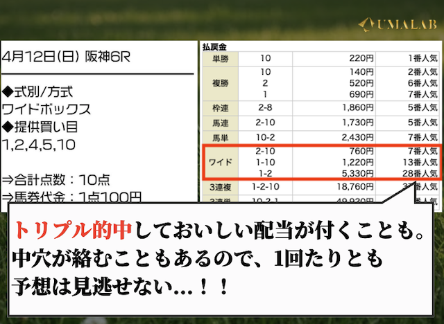 サラコレの無料予想で勝負した感想
