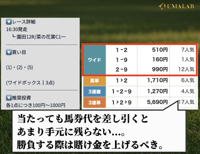 ウマミルの無料予想で勝負した感想
