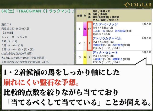 ウマミルの有料予想で勝負した感想