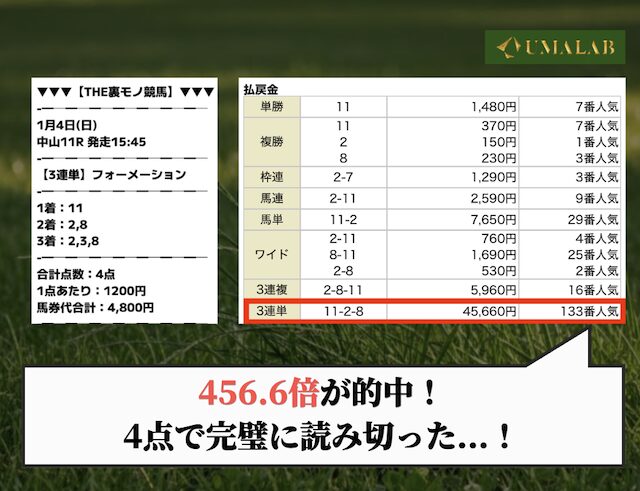 馬ラボが有料予想で勝負した結果