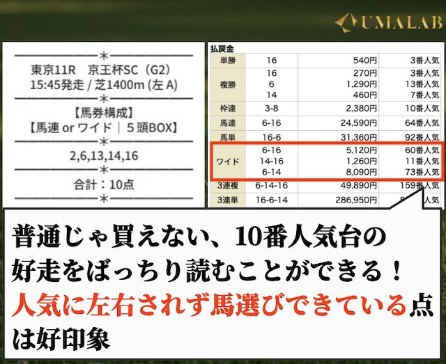 バクガチの無料予想で勝負した感想