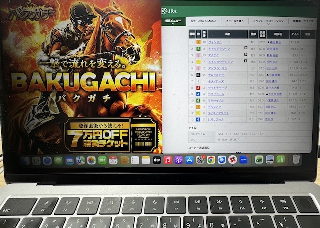 バクガチを検証する馬ラボ