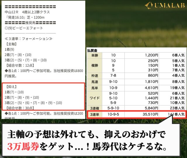 ヒットザマークの無料予想で勝負した感想