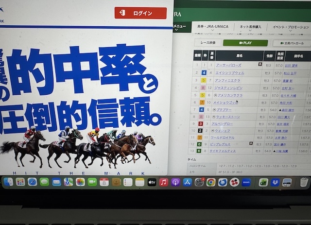 ヒットザマークを検証する馬ラボ