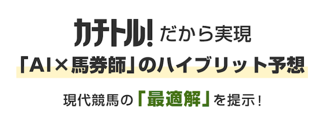 カチトルの特徴