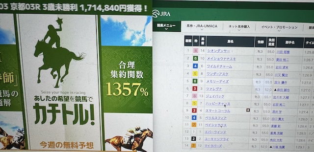 カチトルを検証する馬ラボ