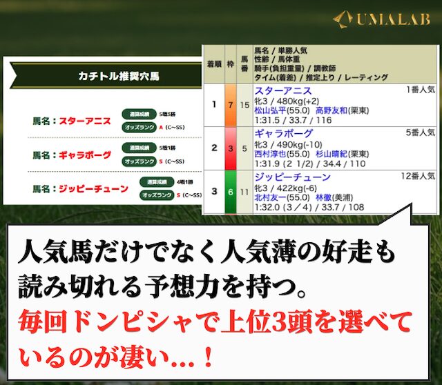 カチトルの無料予想で勝負した感想