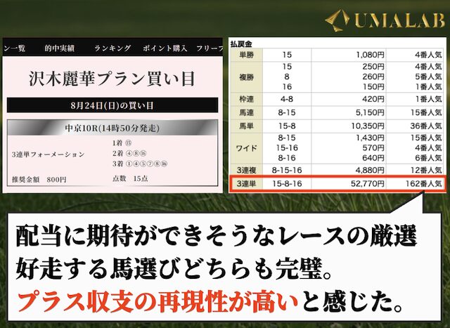 競馬リベンジャーズの有料予想で勝負した感想