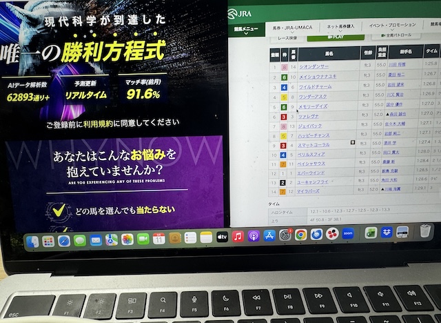 MODS競馬を検証する馬ラボ