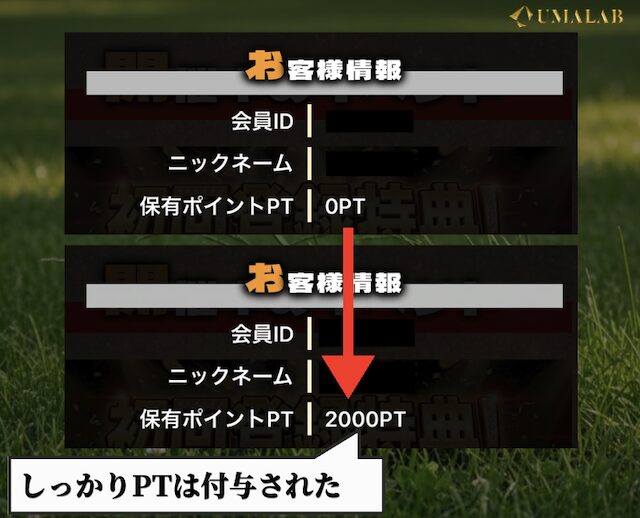 モギトルはしっかりポイントを付与している