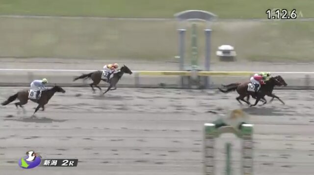 新潟2Rの結果