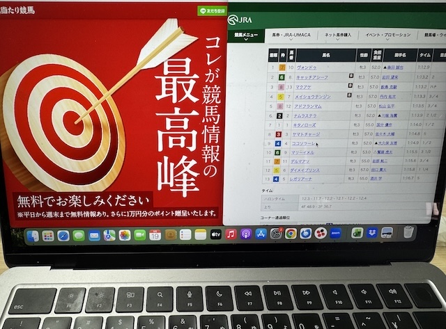 大当たり競馬を検証する馬ラボ