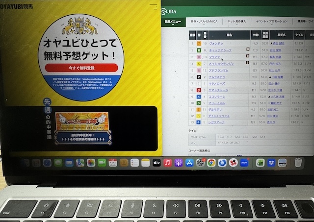 OYAYUBI競馬を検証する馬ラボ