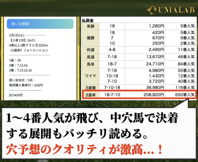 OYAYUBI競馬の有料予想で勝負した感想