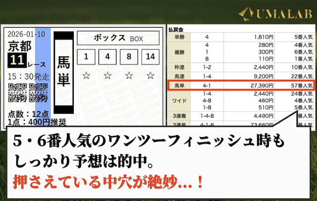 ラクショープラスの無料予想で勝負した感想
