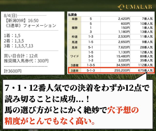 シンケイバの有料予想で勝負した感想